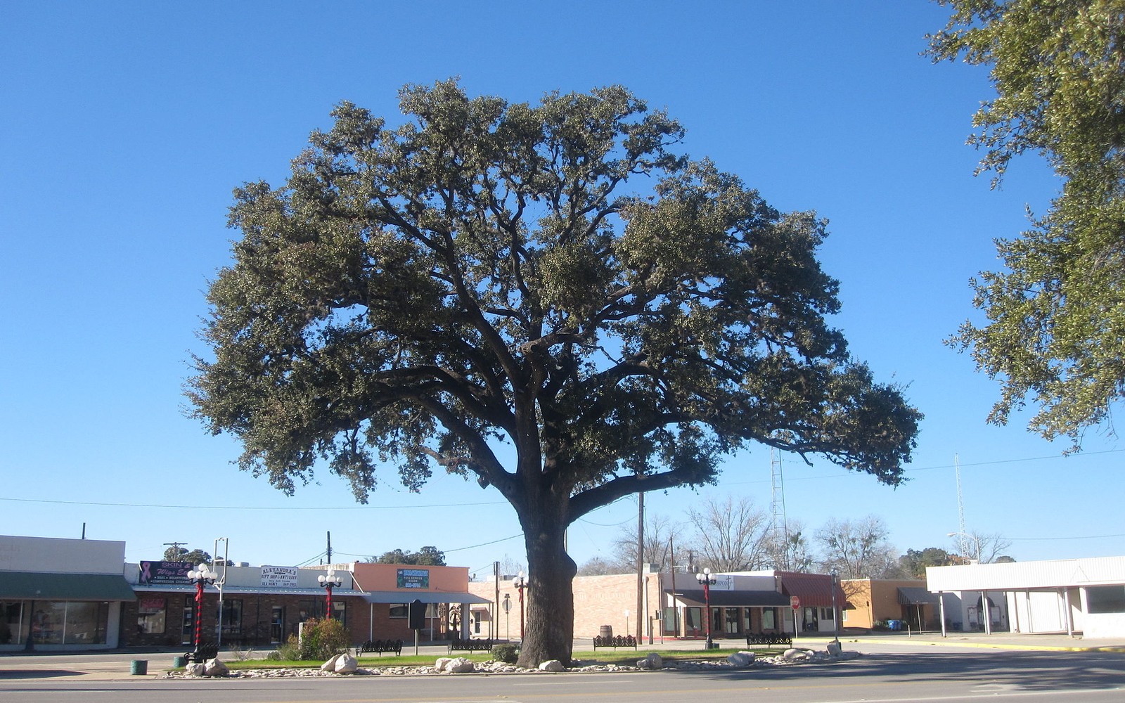 Pleasanton, TX